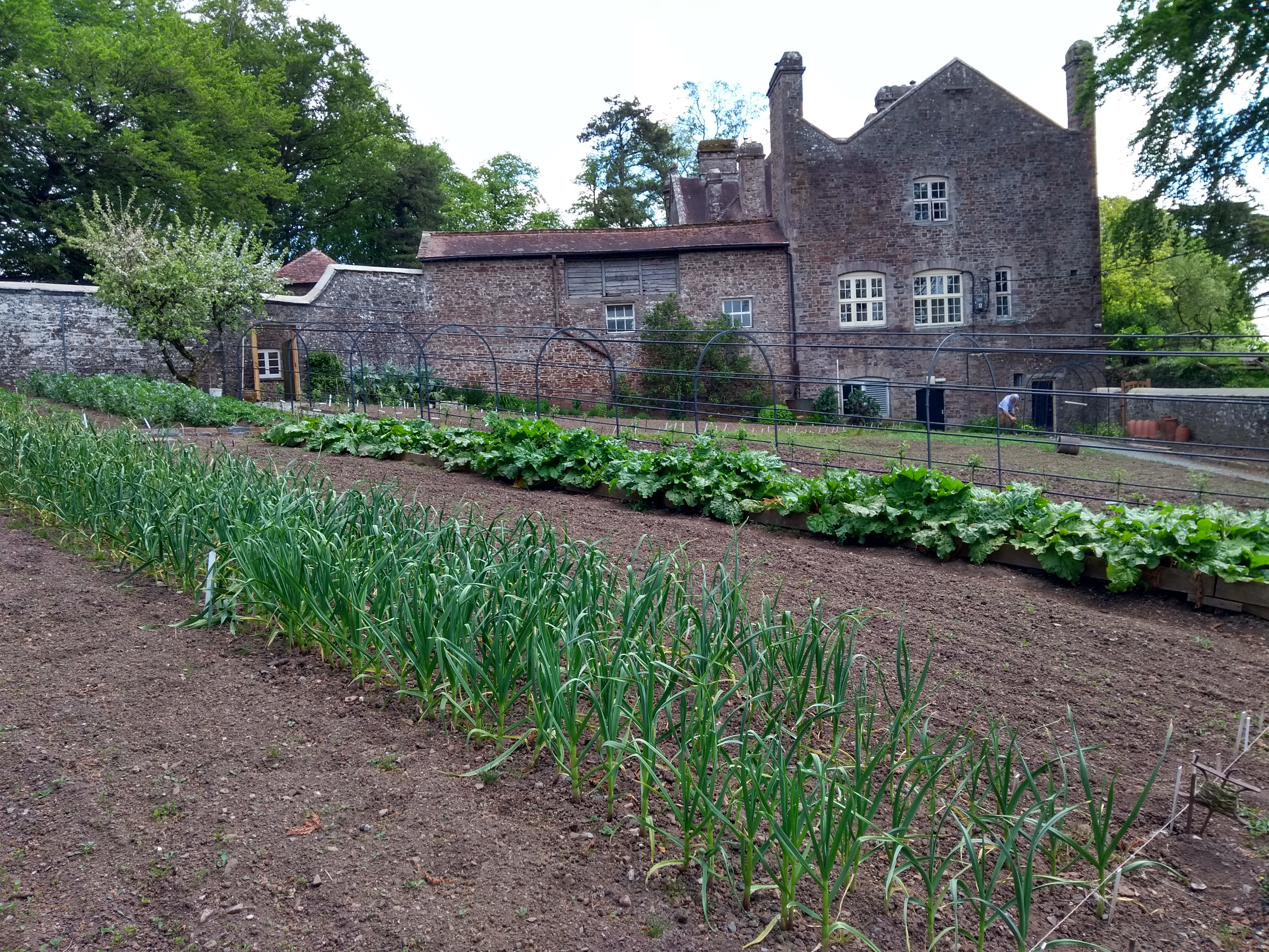 Walled Kitchen Garden.jpg